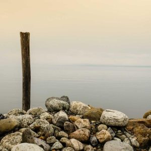 Slim Fit Denim Jeans