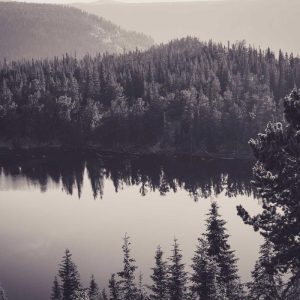 Classic White T-Shirt